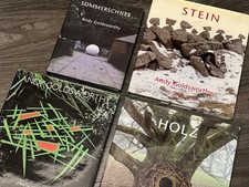 andy goldsworthy STEIN /