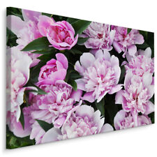 CANVAS Leinwand Bilder XXL