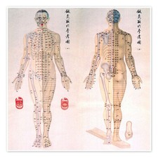 Poster Akupunkturkarte des