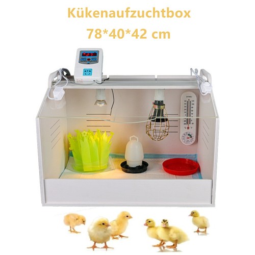Kükenaufzuchtbox kükenheim - kükenaufzuchtbox,