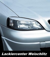 SCHEINWERFERBLENDEN LACKIERT