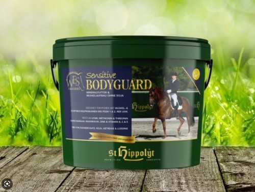 Wes sensitive bodyguard kg - sensitive,