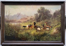 Enten am Teich 1880-1900