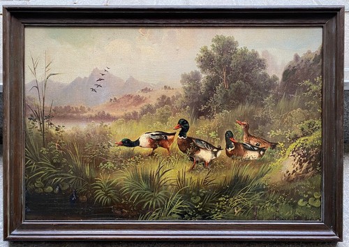 Enten teich 1880 - enten, 1880-1900
