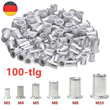 100x Alu Nieten