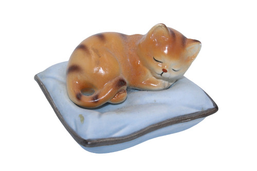 Schlafende katze auf - schlafende, kissen