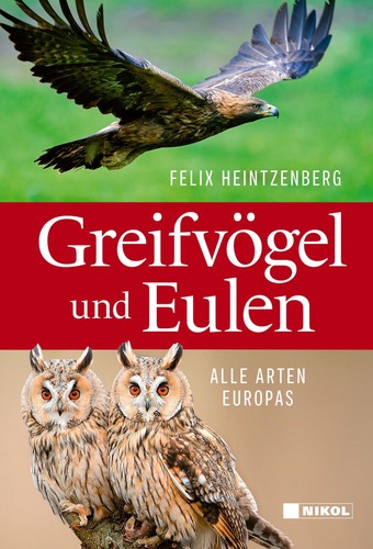 Greifvögel und eulen felix - greifvögel,
