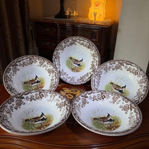 Spode woodland wood duck - spode,