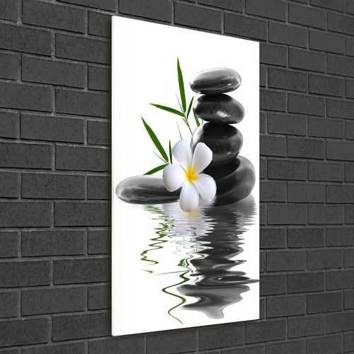 Wandbild druck auf plexiglas - druck,