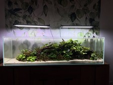 Aquarium weissglas 300 liter - aquarium,