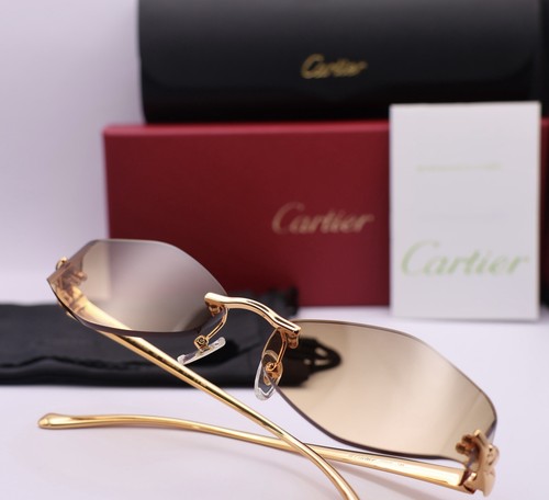 Cartier ct0204o - ct0204o, c1