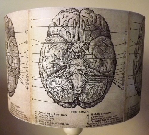 Brain halloween lampenschirm - brain,