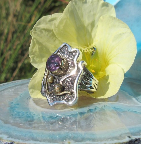 Ring schild mit lila - 🐍,