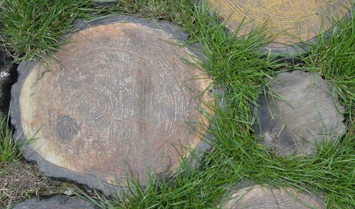 Stk sprungbrett blockware - stk,