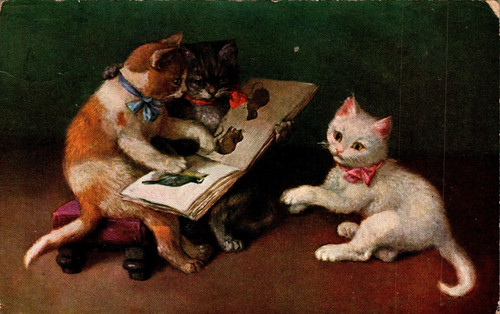 Katze katzen lesen ein - katzen,