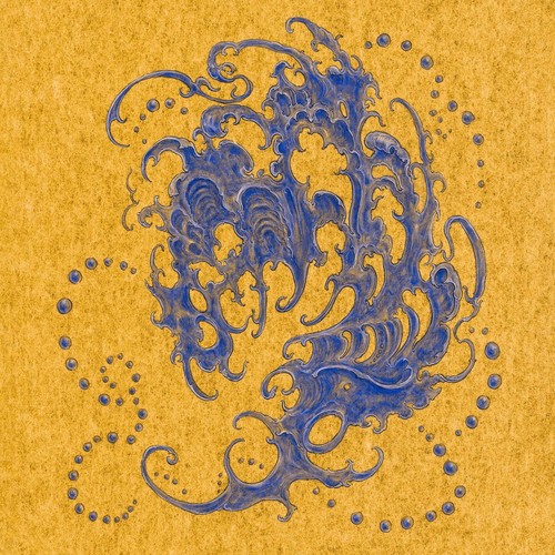 Surgeon shell wave - surgeon,