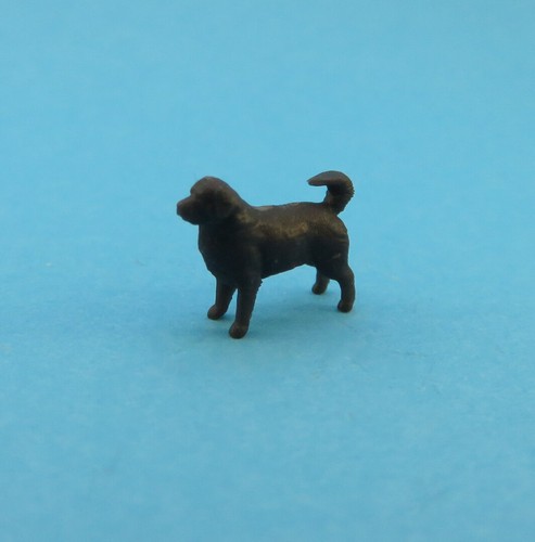 Berner sennenhund schwarz - sennenhund,