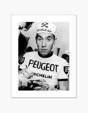 Poster Eddy Merckx, Giro