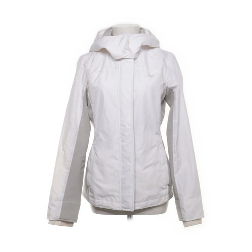 Hollister california - hollister,