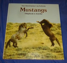 MUSTANGS Wildpferde in Amerika