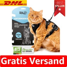 Sichere Katzengeschirr