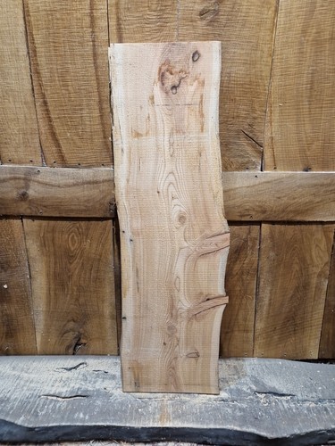 Kieferplatte live edge - kieferplatte,