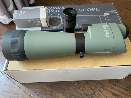Amazing intro birding - intro, birding/hunting