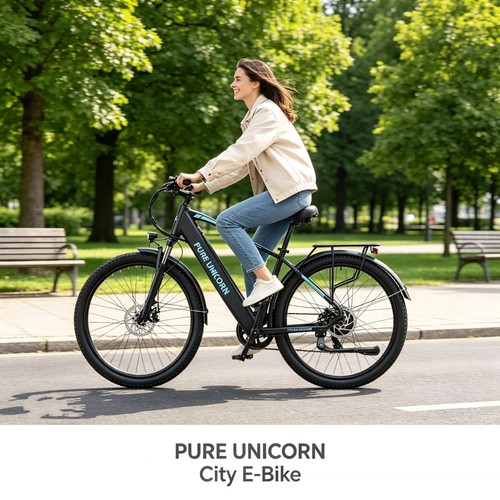 Zoll elektrofahrrad 750w - 29,