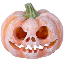  Aquariumfischunterstand