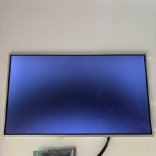 17,3" Display LG LP173WD1