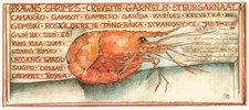 Kunstdruck - "GARNELE" -