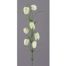 Kunstblume künstliche FRITTILARIE ca 63cm Schachblume, Lilie, Fritillaria. CREME