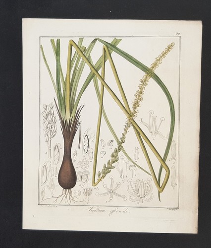Kupferstich 1835 text - 1835,