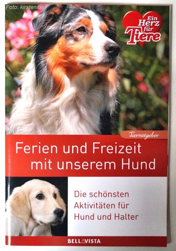 Hunde ratgeber buch ferien - hunde,