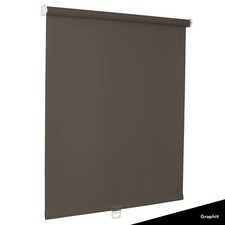 Springrollo Standard-Rollo