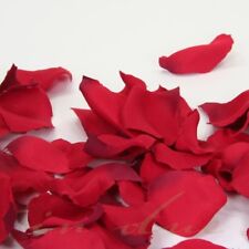 Blütenblätter / Streublüten für Hochzeit Streukörbchen ROT