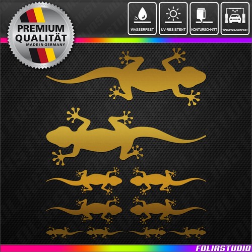 Teilig gecko gekko eidechse - gekko,