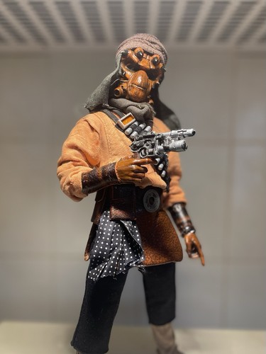 Star wars nikto pirate - 1/6,