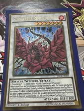 Schwarzer Rosendrache