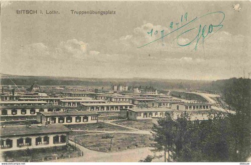 Alte hündin - 57,