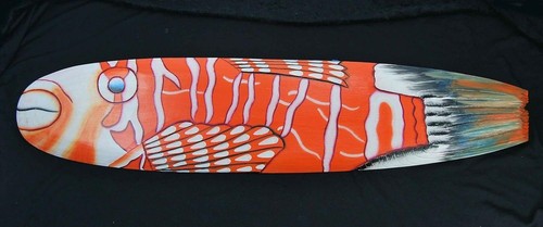 Feuerfisch papageifisch - feuerfisch,
