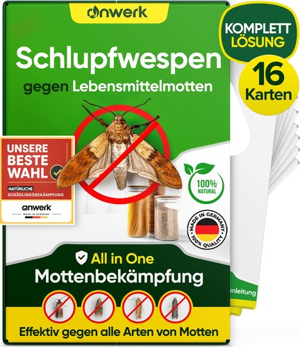 Anwerk schlupfwespen gegen - schlupfwespen,