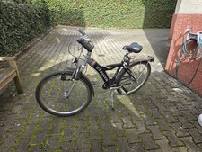 Staiger Cry Free Fahrrad 7