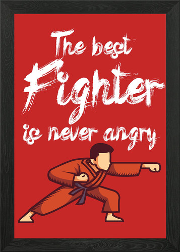 Bester kämpfer nie angry - nie,