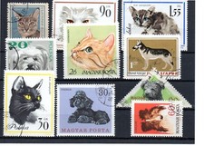 Hunde - Katzen