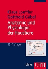 Anatomie und Physiologie der