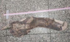 Treibholz Schwemmholz -