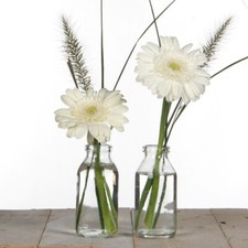 Glasflasche 32 Stück - 10,5