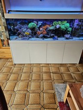 meerwasser aquarium komplett gebraucht