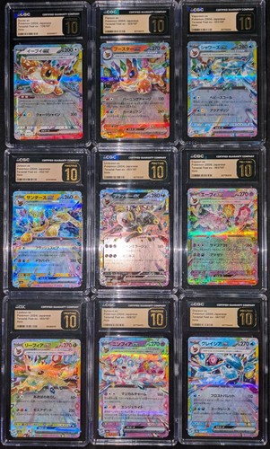 Pokemon terastal festival - pokemon, ex